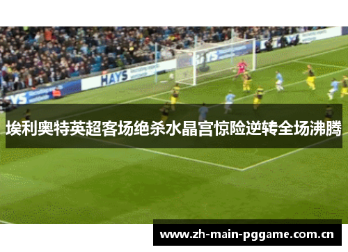埃利奥特英超客场绝杀水晶宫惊险逆转全场沸腾 埃利奥特英超客场绝杀水晶宫惊险逆转全场沸腾